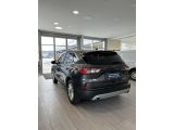 Ford Kuga bei Sportwagen.expert - Abbildung (2 / 15)