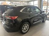 Ford Kuga bei Sportwagen.expert - Abbildung (4 / 15)
