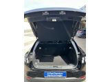 Ford Mustang Mach-E bei Sportwagen.expert - Abbildung (14 / 15)