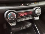 Kia Rio bei Sportwagen.expert - Abbildung (14 / 15)