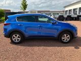 Kia Sportage bei Sportwagen.expert - Abbildung (7 / 11)