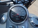 Harley-Davidson Softail bei Sportwagen.expert - Abbildung (6 / 11)