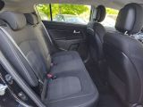 Kia Sportage bei Sportwagen.expert - Abbildung (11 / 15)
