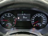 Kia Sportage bei Sportwagen.expert - Abbildung (14 / 15)
