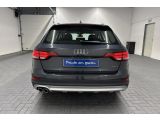 Audi A4 Allroad Quattro bei Sportwagen.expert - Abbildung (4 / 15)