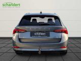 Skoda Octavia bei Sportwagen.expert - Abbildung (3 / 15)