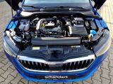 Skoda Scala bei Sportwagen.expert - Abbildung (15 / 15)
