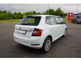 Skoda Fabia bei Sportwagen.expert - Abbildung (5 / 15)