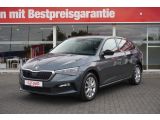 Skoda Scala bei Sportwagen.expert - Abbildung (2 / 15)