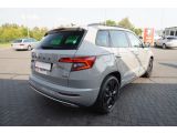 Skoda Karoq bei Sportwagen.expert - Abbildung (5 / 15)