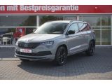 Skoda Karoq bei Sportwagen.expert - Abbildung (2 / 15)