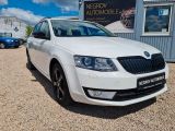 Skoda Octavia bei Sportwagen.expert - Abbildung (3 / 15)
