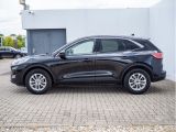 Ford Kuga bei Sportwagen.expert - Abbildung (3 / 15)