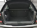 Skoda Kamiq bei Sportwagen.expert - Abbildung (8 / 12)