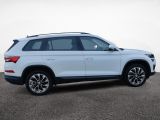 Skoda Kodiaq bei Sportwagen.expert - Abbildung (7 / 15)