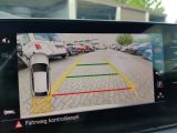 Skoda Scala bei Sportwagen.expert - Abbildung (15 / 15)