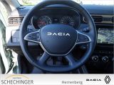 Dacia Duster bei Sportwagen.expert - Abbildung (7 / 15)