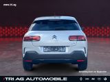 Citroen C4 Cactus bei Sportwagen.expert - Abbildung (3 / 15)