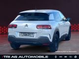 Citroen C4 Cactus bei Sportwagen.expert - Abbildung (2 / 15)