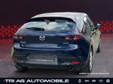 Mazda 3 bei Sportwagen.expert - Abbildung (2 / 15)