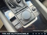 Mazda 3 bei Sportwagen.expert - Abbildung (14 / 15)