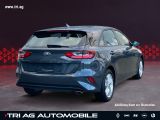 Kia Ceed bei Sportwagen.expert - Abbildung (2 / 15)