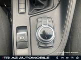 BMW X1 bei Sportwagen.expert - Abbildung (11 / 15)