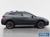 Subaru XV bei Sportwagen.expert - Abbildung (6 / 15)