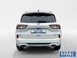 Ford Kuga bei Sportwagen.expert - Abbildung (4 / 15)
