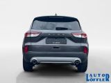 Ford Kuga bei Sportwagen.expert - Abbildung (4 / 15)