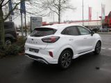 Ford Puma bei Sportwagen.expert - Abbildung (5 / 15)