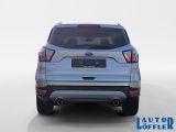 Ford Kuga bei Sportwagen.expert - Abbildung (4 / 9)