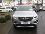 Opel Grandland X bei Sportwagen.expert - Abbildung (2 / 11)