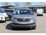 Skoda Kodiaq bei Sportwagen.expert - Abbildung (2 / 15)