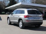 Skoda Kodiaq bei Sportwagen.expert - Abbildung (4 / 15)