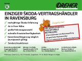 Skoda Octavia bei Sportwagen.expert - Abbildung (3 / 15)