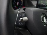 Skoda Octavia bei Sportwagen.expert - Abbildung (13 / 15)
