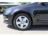Skoda Octavia bei Sportwagen.expert - Abbildung (6 / 15)