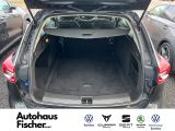 Opel Insignia bei Sportwagen.expert - Abbildung (5 / 7)