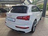 Audi SQ5 bei Sportwagen.expert - Abbildung (5 / 15)
