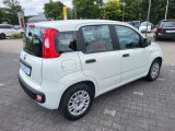 Fiat Panda bei Sportwagen.expert - Abbildung (5 / 15) Fiat Panda bei Sportwagen.expert - Abbildung (5 / 15)