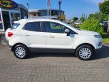 Ford EcoSport bei Sportwagen.expert - Abbildung (6 / 15)