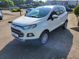 Ford EcoSport bei Sportwagen.expert - Abbildung (3 / 15)