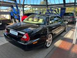 Jaguar XJ6 bei Sportwagen.expert - Abbildung (8 / 15)