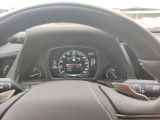 Lexus LS bei Sportwagen.expert - Abbildung (11 / 15)