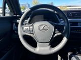 Lexus UX bei Sportwagen.expert - Abbildung (12 / 15)