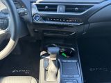 Lexus UX bei Sportwagen.expert - Abbildung (9 / 15)