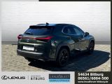 Lexus UX bei Sportwagen.expert - Abbildung (4 / 15)