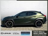 Lexus UX bei Sportwagen.expert - Abbildung (2 / 15)