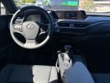 Lexus UX bei Sportwagen.expert - Abbildung (8 / 15)